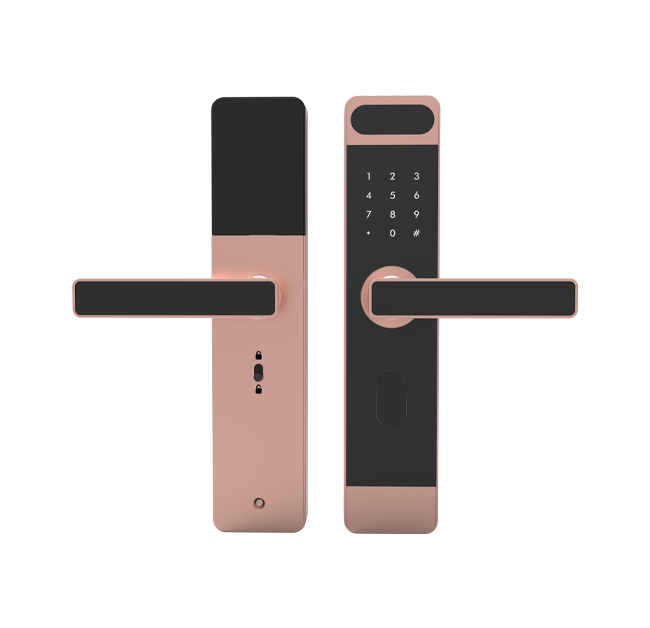 Smart Keypad Door Lock