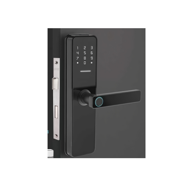 Interior Wooden Door Lock