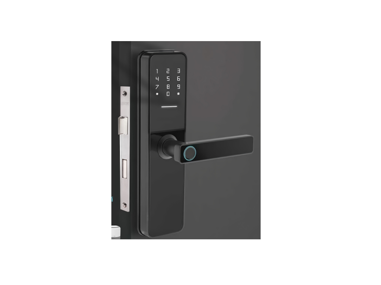 Interior Wooden Door Lock
