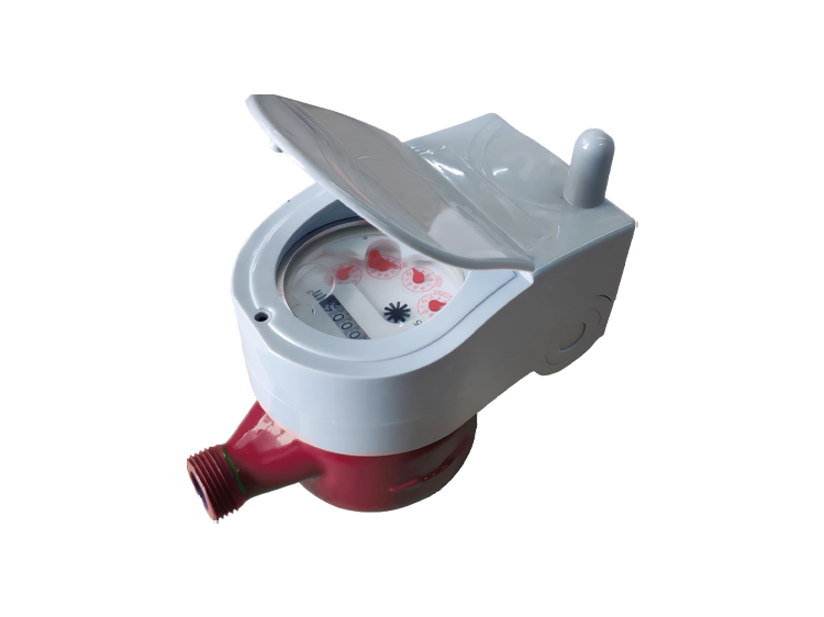 Electronic Remote Water Meter