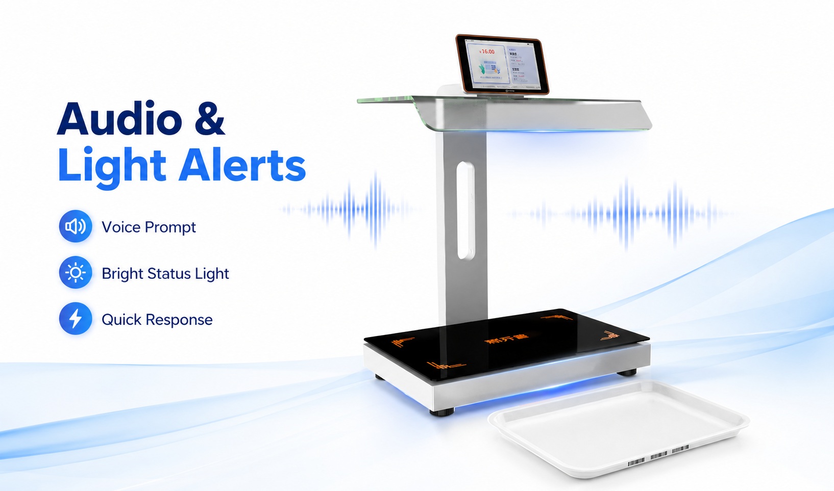 Audio & Visual Alert System