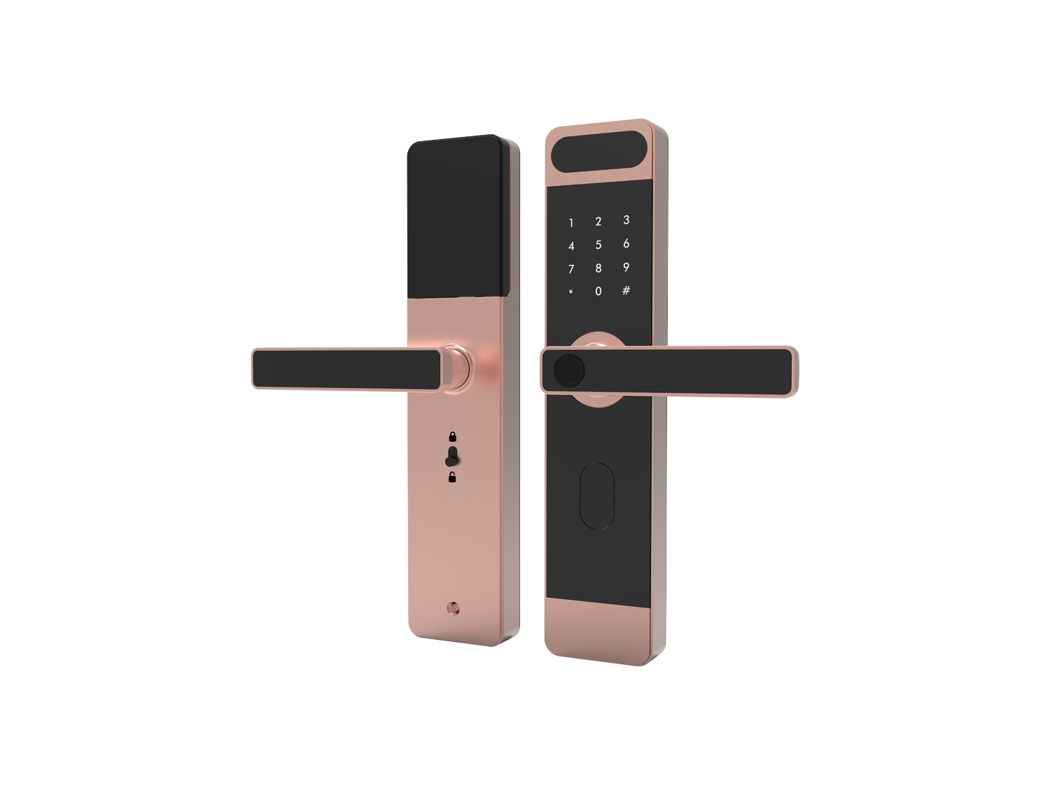 Keyless Door Access Lock With Face Recognition