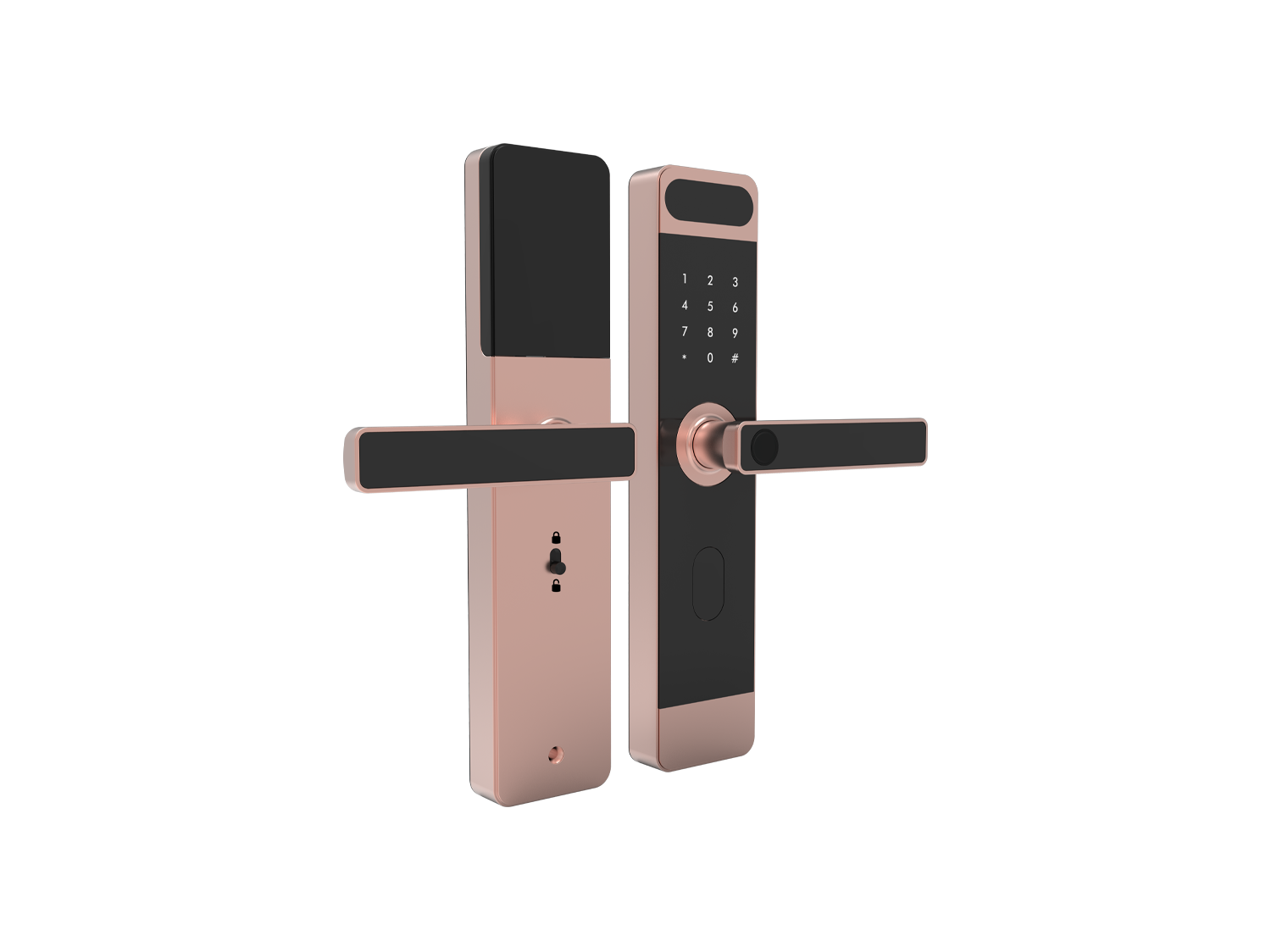 Keyless Door Access Lock With Face Recognition